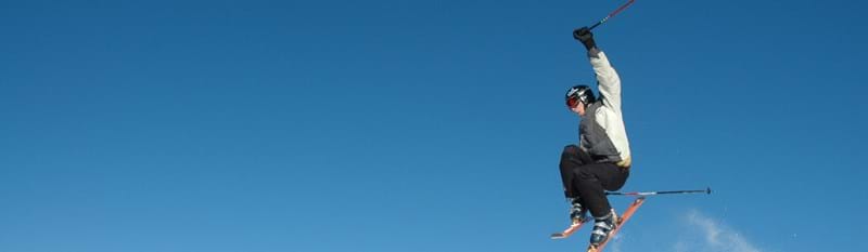 Newsletter Header Image