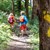 Baumstamm mit gelbem Fußabdruck und Kindern im Hintergrund