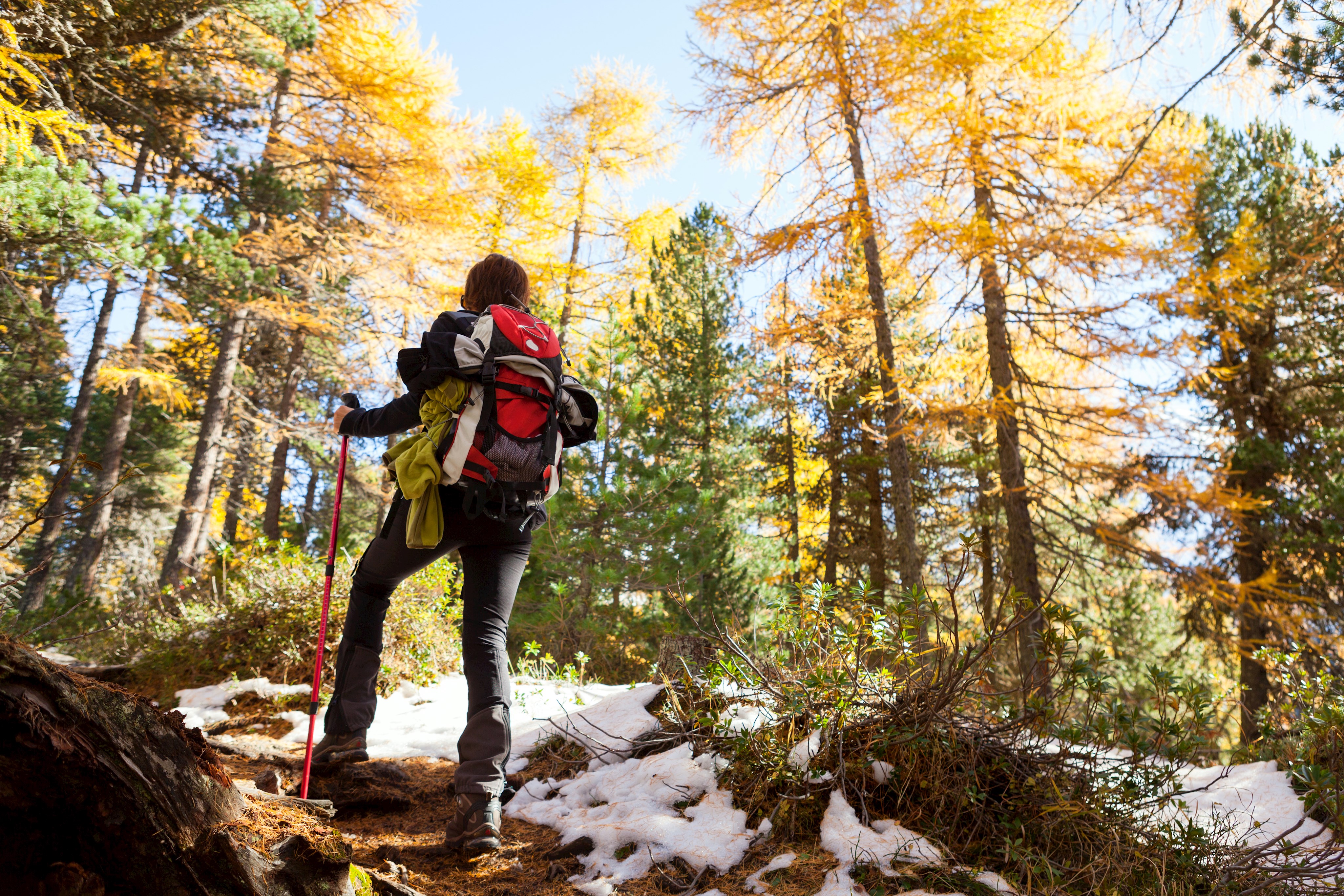 Ein Wanderer mit Gepäck und Stöcken im sonnigen, verschneiten Wald