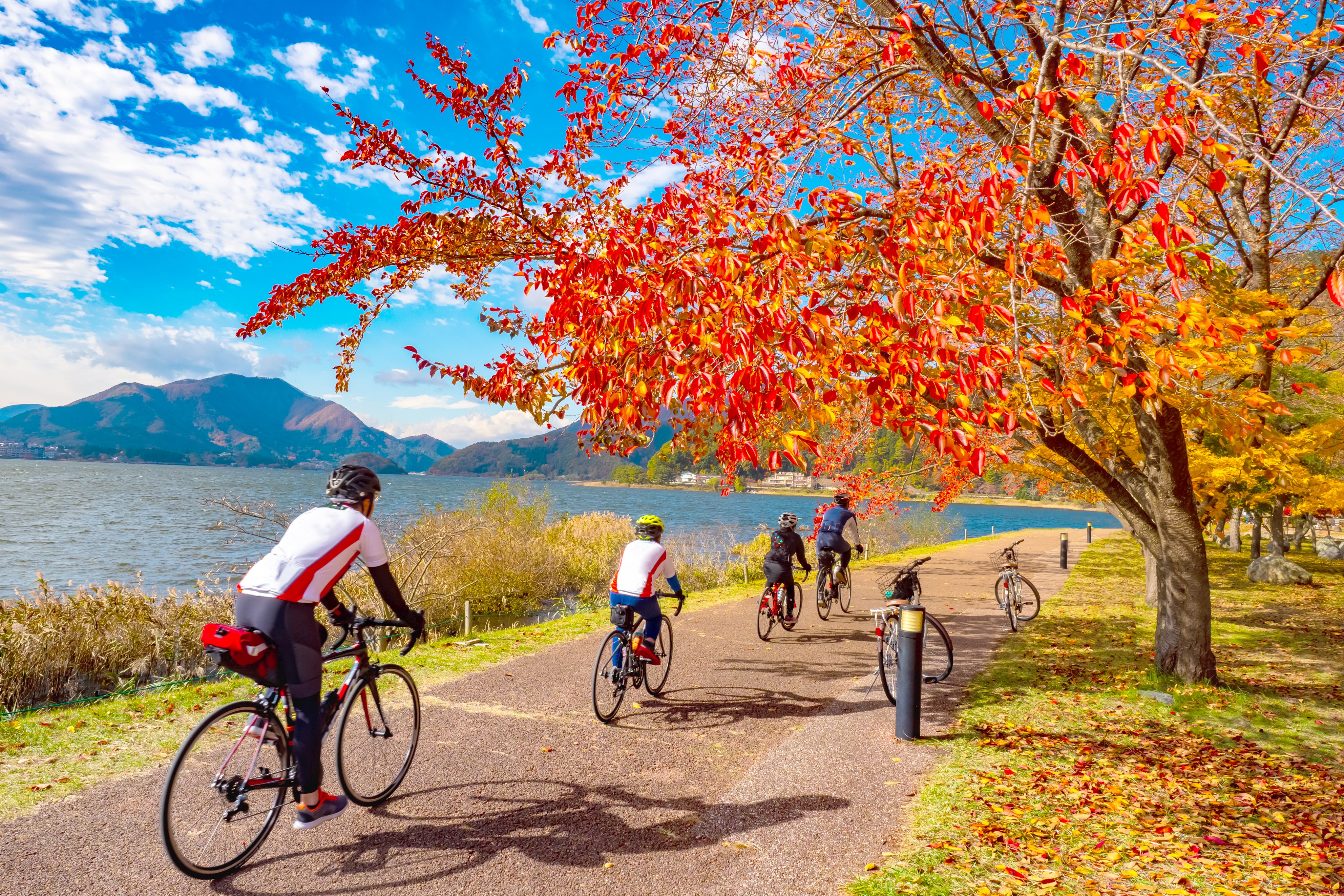 Drei Fahrradfahrer fahren im Herbst um einen See in Dulchingen.