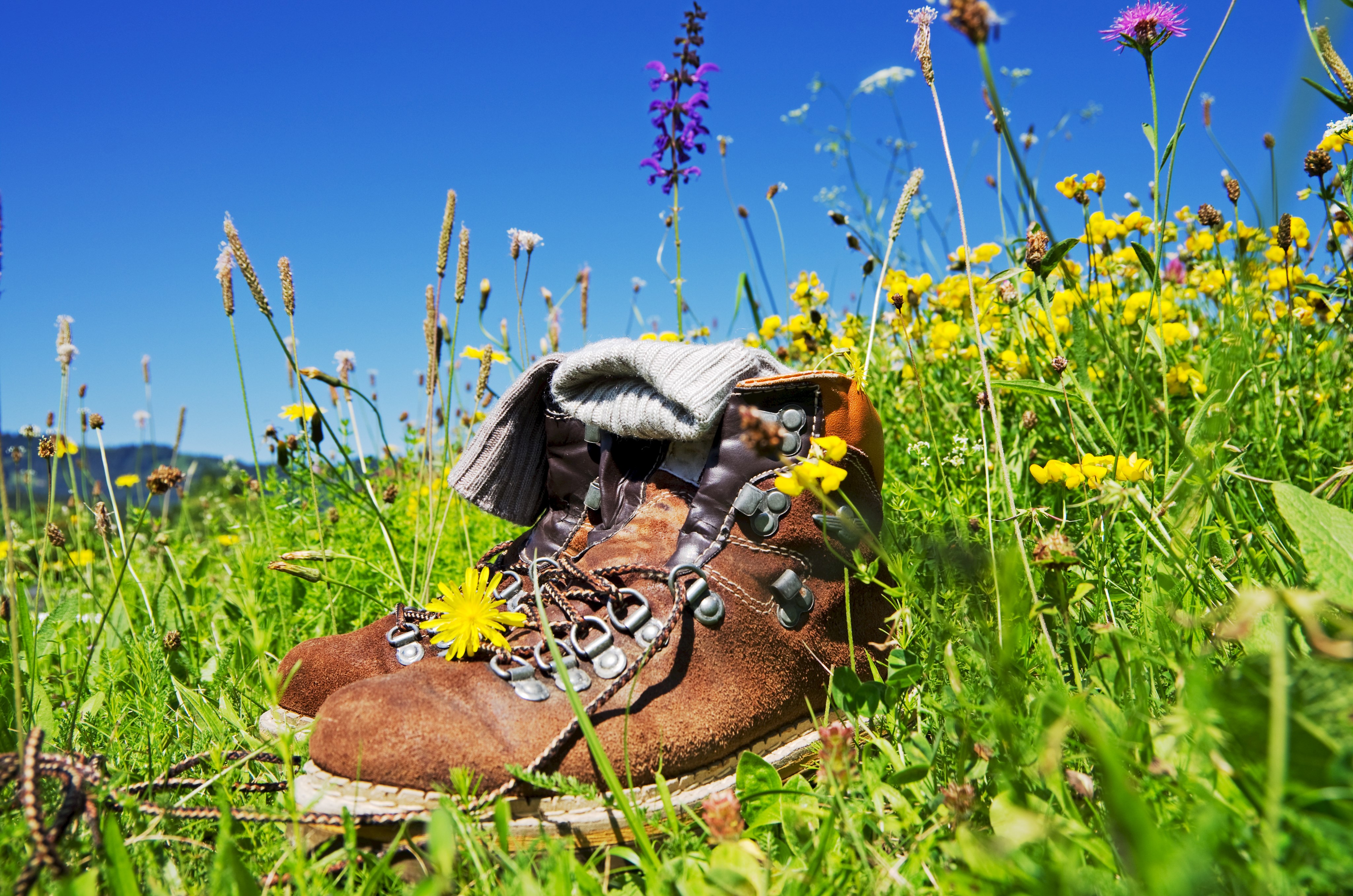 Wanderschuhe auf Sommerwiese